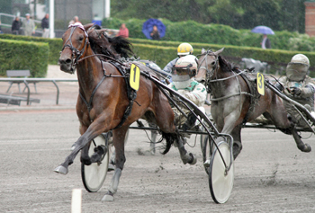 Angelina_20140817_opl_fo_LJ